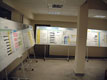 Foto - Bannery, boardy