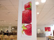 Foto - Bannery, boardy